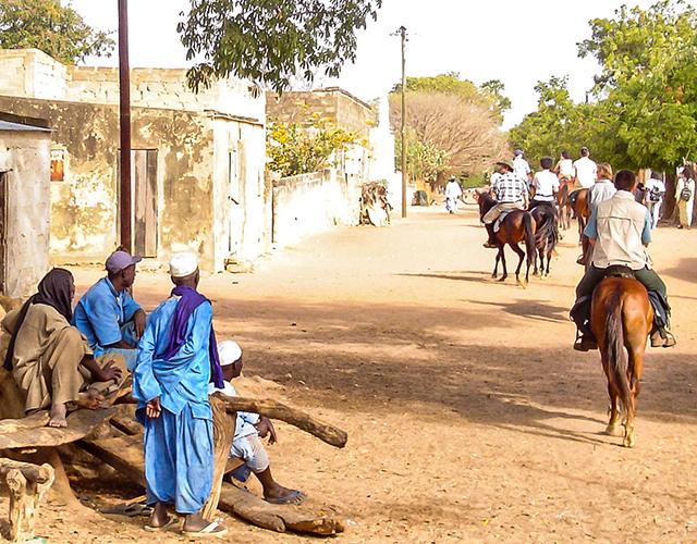 Randonnée à Cheval